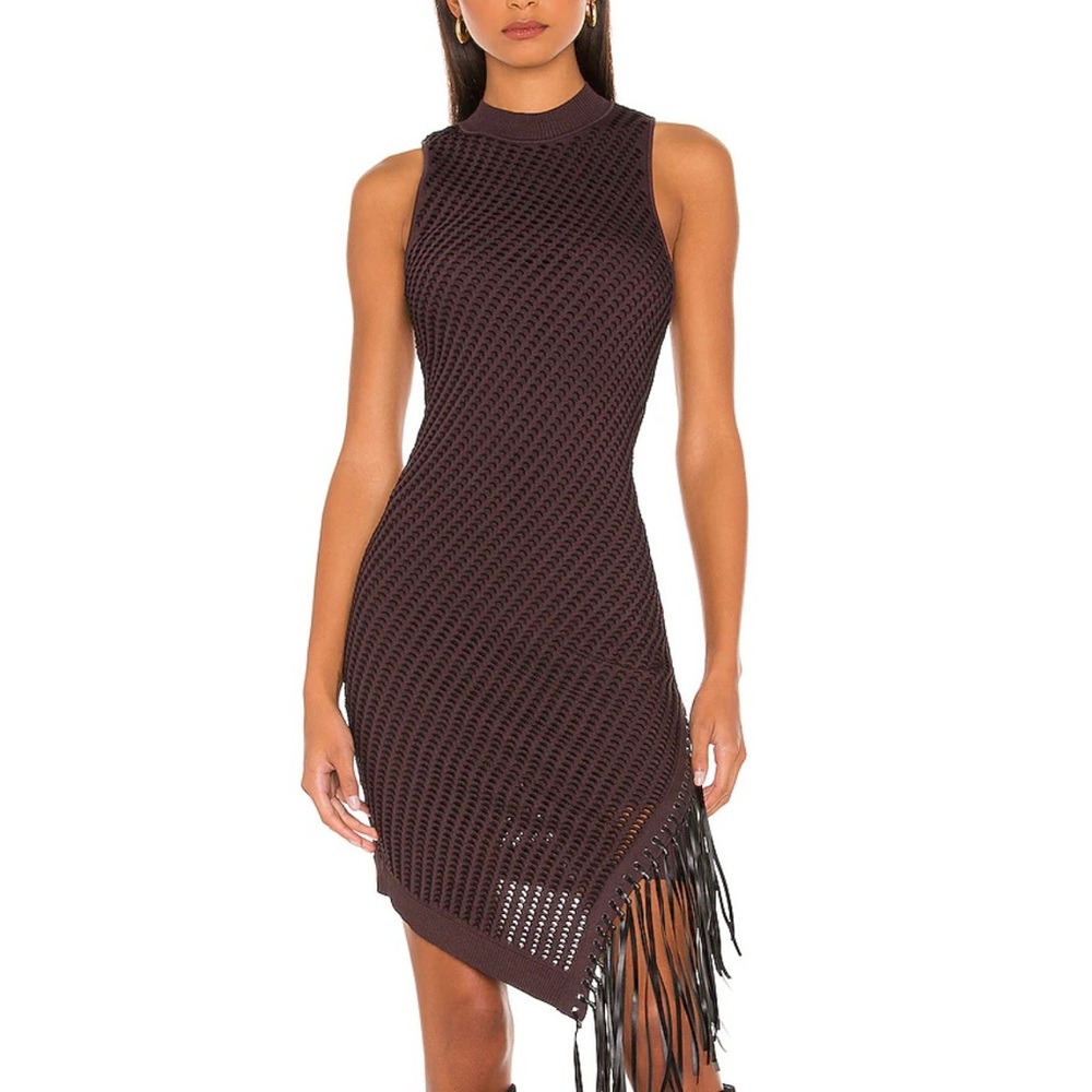 Jonathan Simkhai Fringe Dress